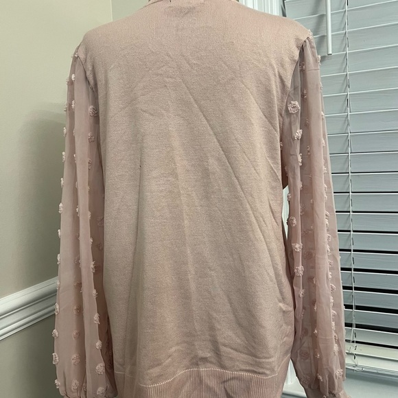 Adrianna Papell Soft Pink Blouse with Sheer Sleeves - Picture 3 of 6